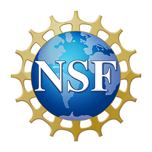 NSF-logo-300x300.png